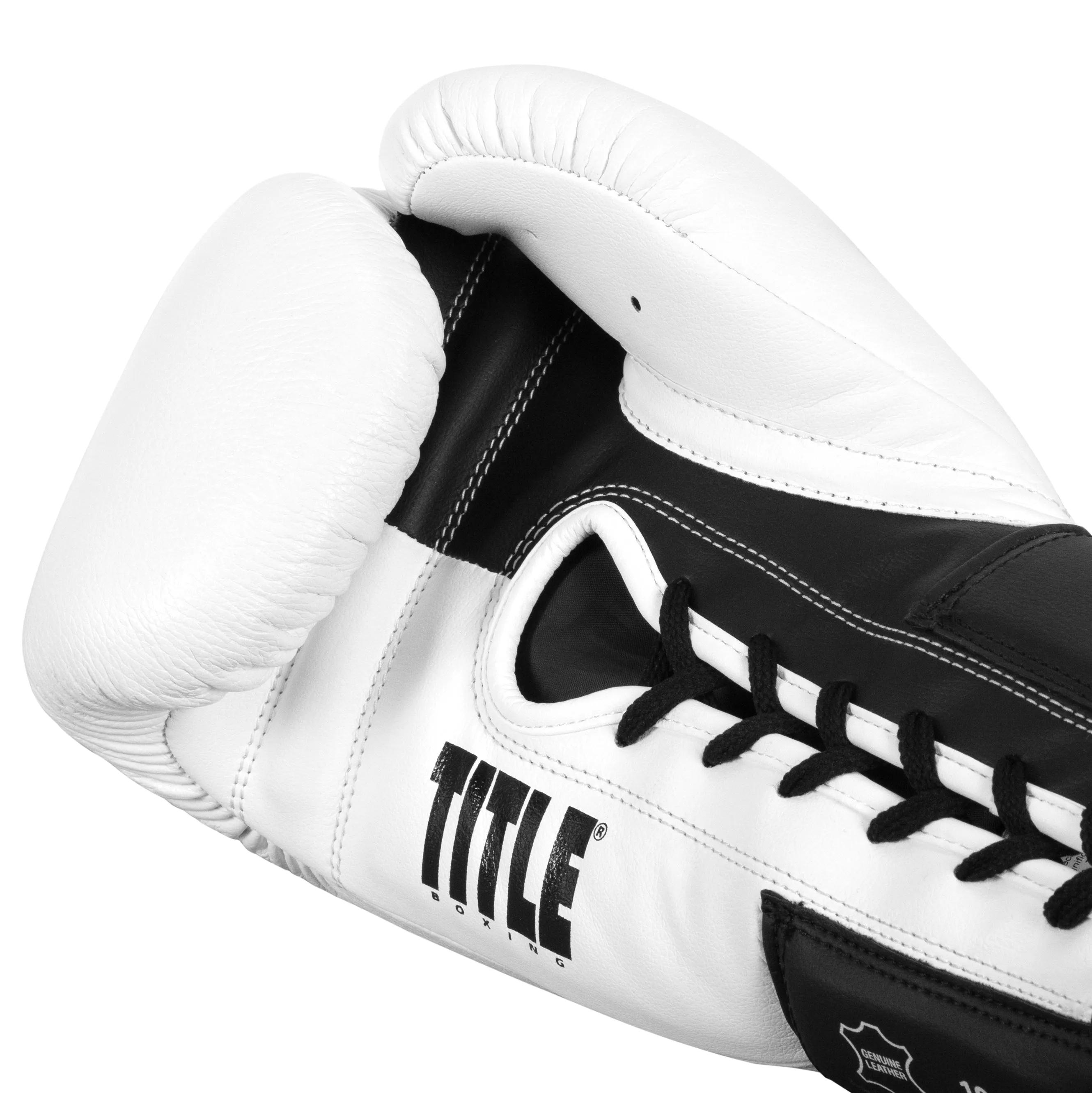 TITLE Boxing Great Official Pro Fight Gloves